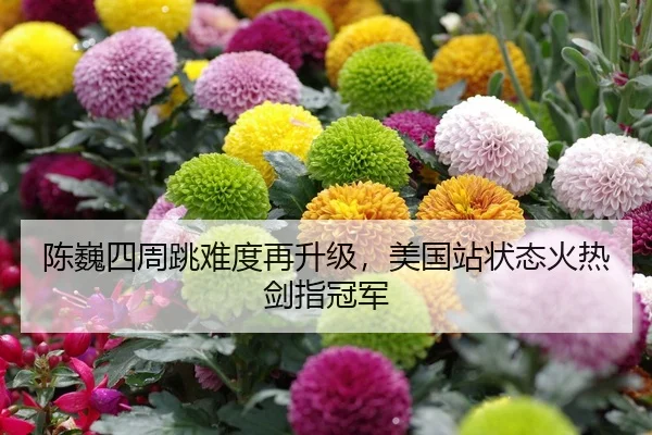 陈巍四周跳难度再升级，美国站状态火热剑指冠军