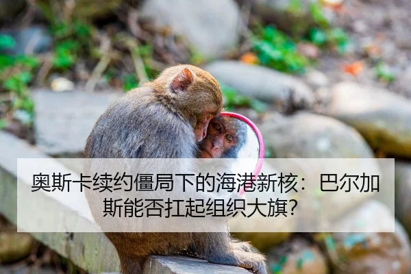 ao-si-ka-xu-yue-jiang-ju-xia-de-hai-gang-xin-he-ba-er-jia-si-neng-fou-kang-qi-zu-zhi-da-qi-3-766.jpg