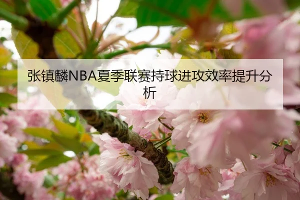 张镇麟NBA夏季联赛持球进攻效率提升分析