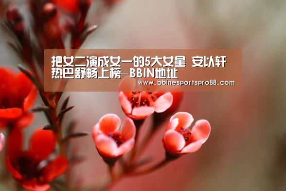 BBIN足球