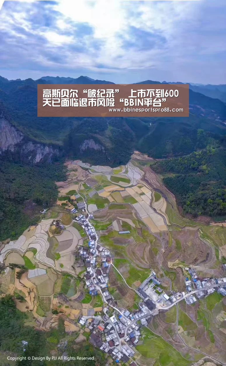 高斯贝尔“破纪录” 上市不到600天已面临退市风险“BBIN