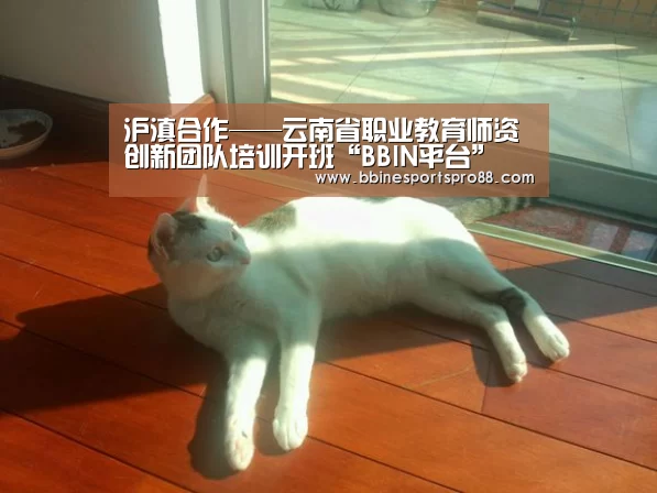 BBIN平台
