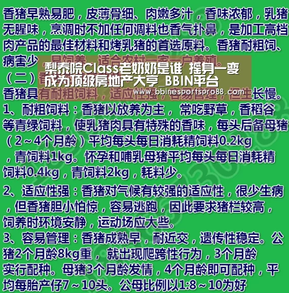 BBIN娱乐