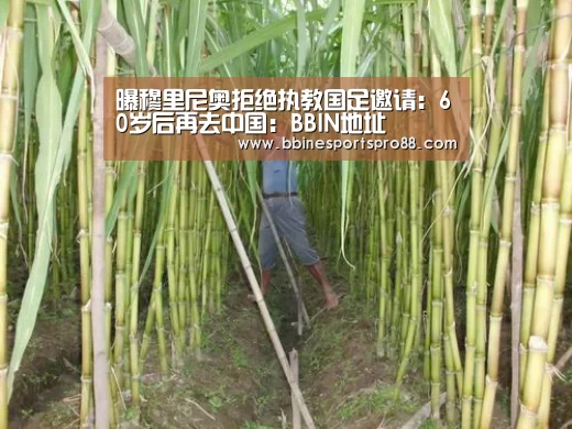 曝穆里尼奥拒绝执教国足邀请:60岁后再去中国:BBIN地址(图1) BBIN地址